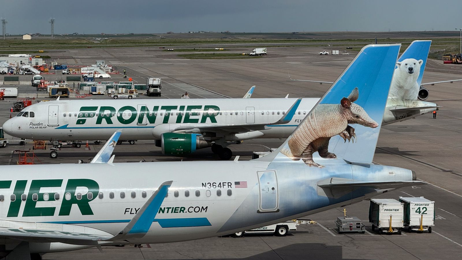 Frontier Airlines Airbus jets with armadillo and polar bear tails at Denver International Airport